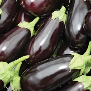 Eggplant
