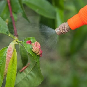 Fungicides