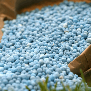 Granular fertilizers
