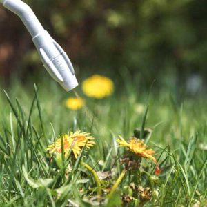 Herbicides