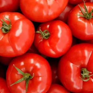 Tomato