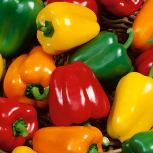 pepper