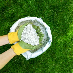 Carboxyl Based Fertilizer