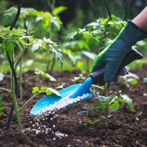 Amino Acid Based Fertilizer