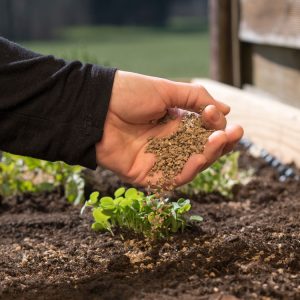ORGANIC FERTILIZER