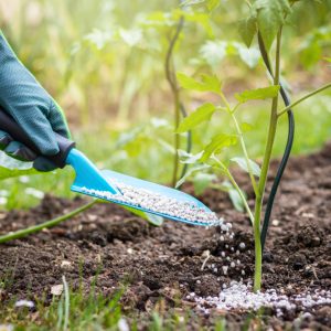 Calcium Based Fertilizer