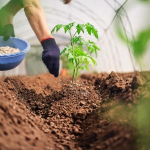 Chelated Micro Nutrients Fertilizer