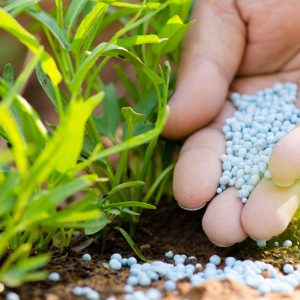 FOLIAR FERTILIZERS