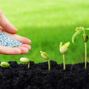 PLANT GROWTH REGULATOR