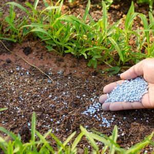 Smart products fertilizer